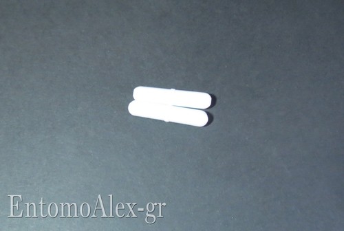 Ancoretta magnetica ptfe - magnetica,