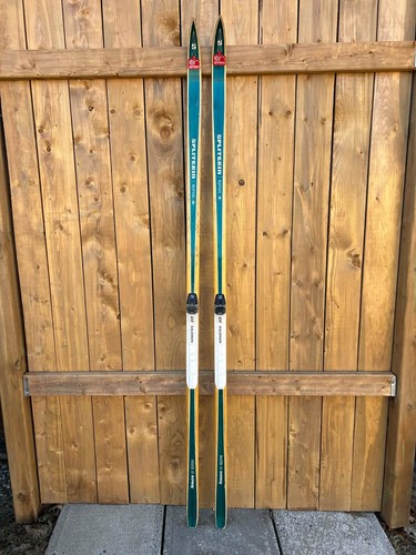Bellissimi vecchi sci neve - bellissimi, da