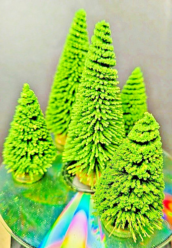 Pini alberi scala tt - pini,