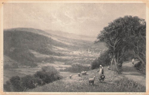 Illustree bergere moutons - cp,