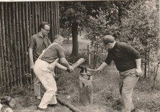 B5 - Foto Photo Fotografia Anni 60 - Trio Taglialegna Uomini