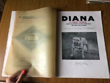 DIANA IL FIELD D' ITALIA