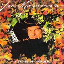 Sense wonder us imp - sense, of