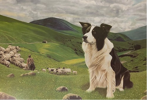 Border collie spring print - border,