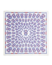  SCIARPA ALEXANDER MCQUEEN