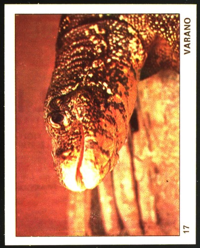 Mondo degli animali - animali, (1970)