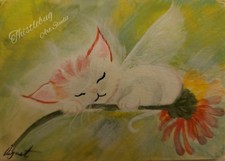 ACEO Acrilico Fata Gatto Fiori