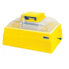 Incubatrice Uova Novital 54