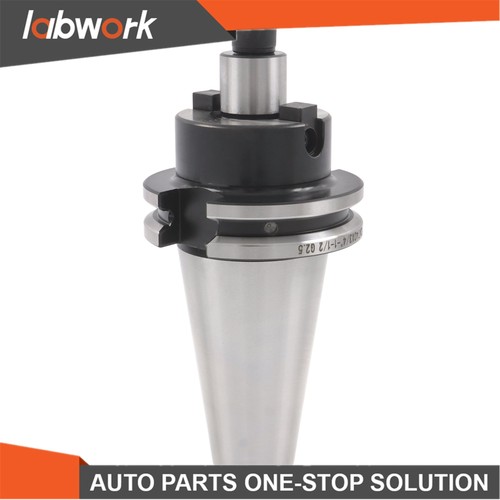 Labwork cat shell supporto - labwork,