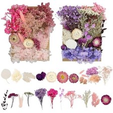 Fiori Secchi, fiori secchi