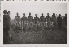 Foto, appello maschere antigas