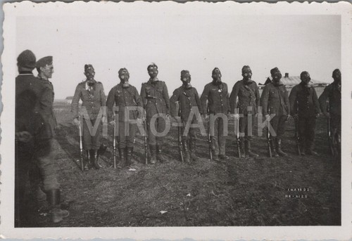 Foto appello maschere antigas - maschere,