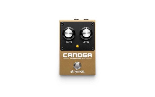 Strymon canoga - strymon,