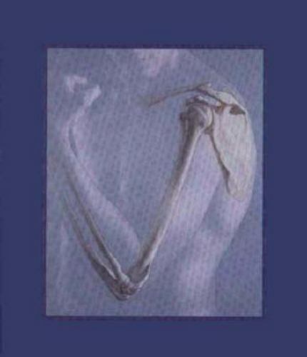 Human anatomy michael j - anatomy,