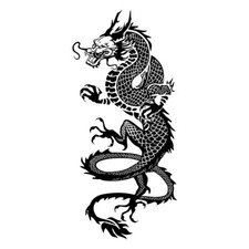 TATUAGGIO TEMPORANEO DRAGO