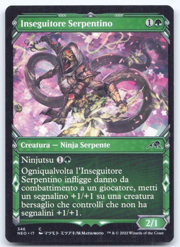 T172 inseguitore serpentino - inseguitore,