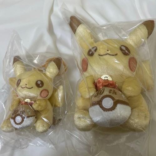 Pokemon center - pokemon,