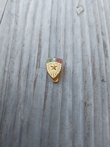 Spilla pins unione nazionale - pins,