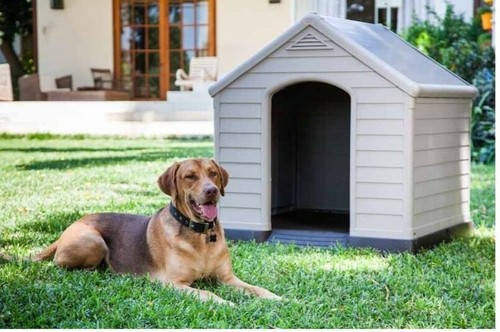 Cuccia per cani taglia grande