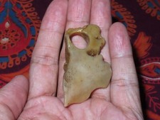 Nepal Tibet Tantrico Buddista