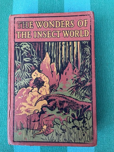 1911 the wonders - 1911,