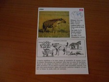 FIGURINA COLLEZIONE SCHEDE