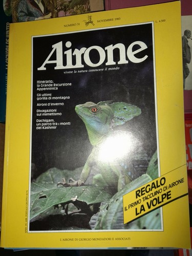 Rivista airone novembre - airone, 31