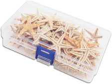 Stelle Marine Essiccate