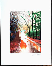 David Hockney - 65x50 cm