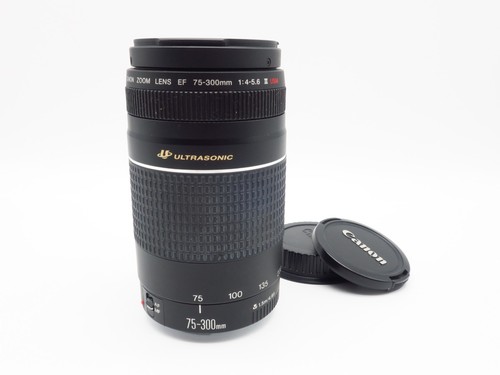Canon zoom lens 300mm - lens, ef