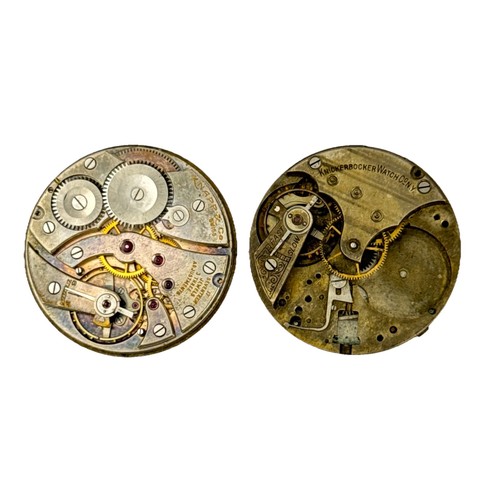 Knickerbocker knapp orologio - knickerbocker,