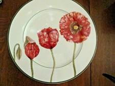 Piastra caricatore di servizio