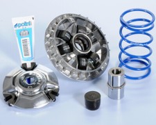 241.712 VARIATORE POLINI