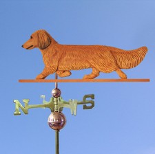 Bassotto Capelli Lunghi