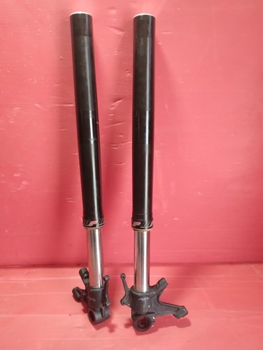 Steli stelo forcelle forcella - stelo,