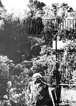 Marcello avenali paperback - marcello, [paperback]