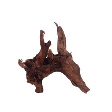 M Driftwood radice di fiume