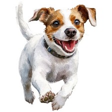 2 adesivi Jack Russell Terrier
