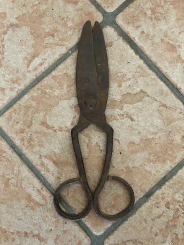 Antiche forbici ferro forgiato