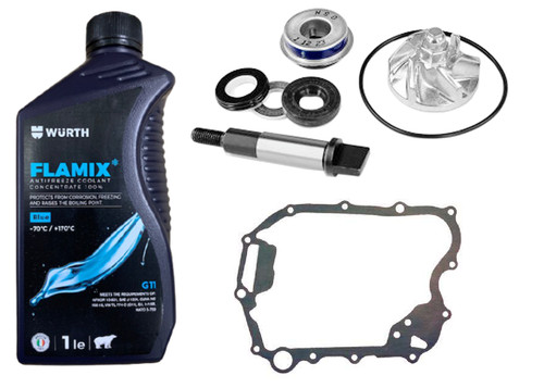 Kit revisione honda 300 - sh,
