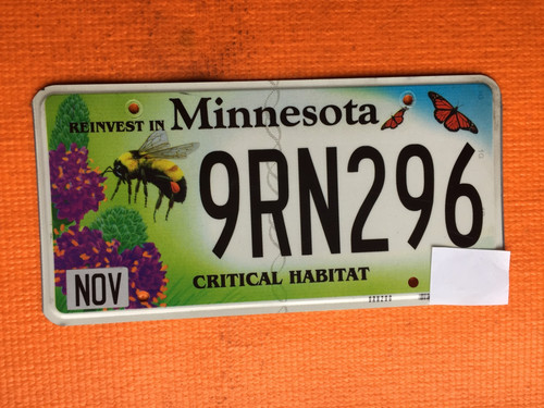 Minnesota targa scaduta - minnesota,