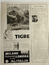 Pubblicità multipla TIGRE