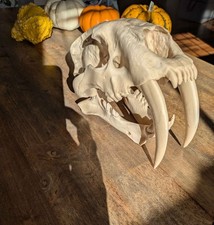 Replica realistica stampata in