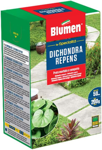 Prato dichondra - prato,