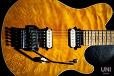 Music man evh signature trans - signature,