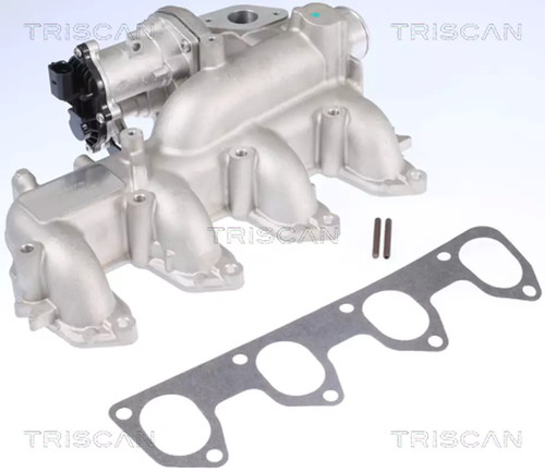 Valvola egr triscan 8813 16160 - valvola,
