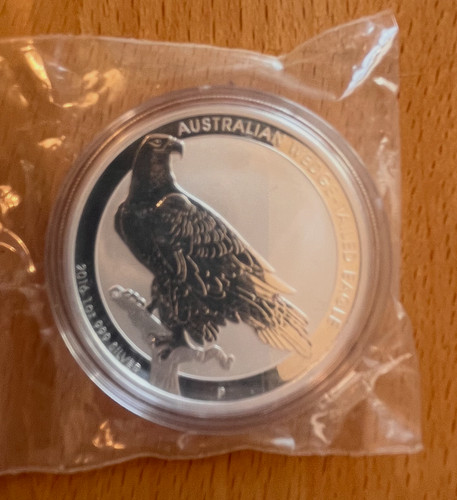 Australia wedge tailed eagle - australia,