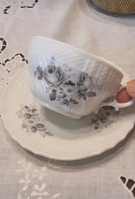 Richard Ginori Old Porcelain