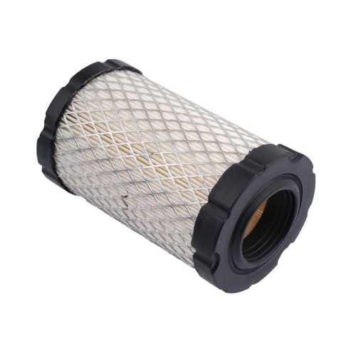Filtro aria motore briggs - filtro,