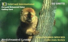 SCHDE STRANIERE - TEMATICA ANIMALI - ENDANGERED SPECIES - RED-FRONTED LEMUR
